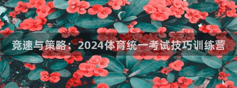 尊龙旗舰厅：竞速与策略：2024体育统一考试技巧训练营