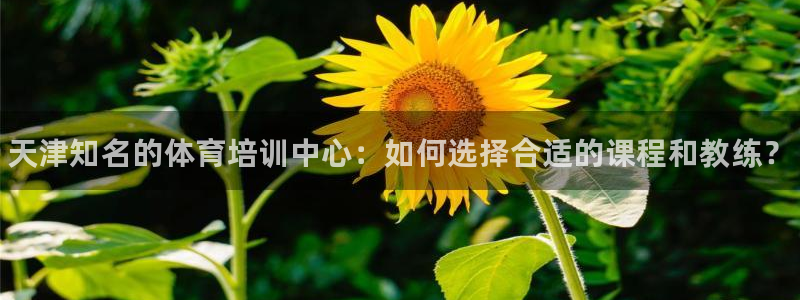 KB88凯时官网：天津知名的体育培训中心：如何选择合适的课程