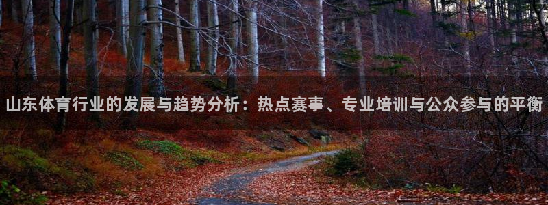尊龙手机客户端下载APP：山东体育行业的发展与趋势分析：热点